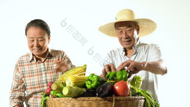老年农民夫妇展示自家蔬菜展示实拍素材