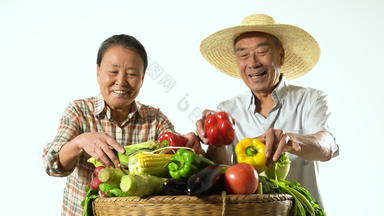 老年农民夫妇展示自家蔬菜垒起