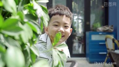 小男孩在树丛里玩捉迷藏绿植好奇心宣传视频