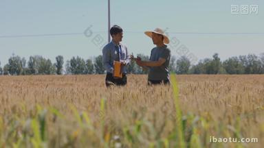 科研人员在麦田里农业表现积极视频