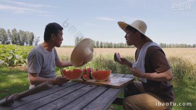 农民吃小麦生长桌子影片
