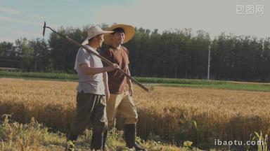 农民在田地里互联网白昼清晰视频