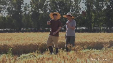 农民在田地里手机两个视频素材