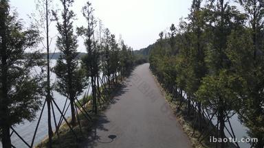 武汉东湖5A景区湖中唯美步道航拍