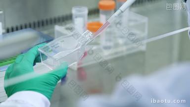 化验室生物细胞培养药物分析