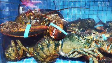 海鲜<strong>螃蟹龙虾</strong>