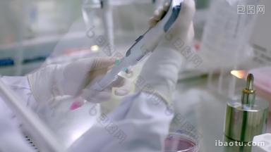 化验室生物细胞培养实验病毒研究