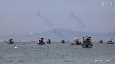 巽寮湾海景码头观光船实拍4k
