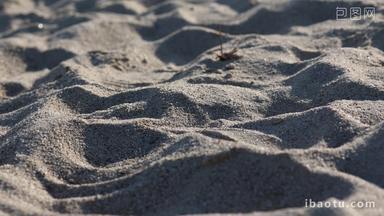 阳光下的<strong>沙滩</strong>沙子空镜实拍4k