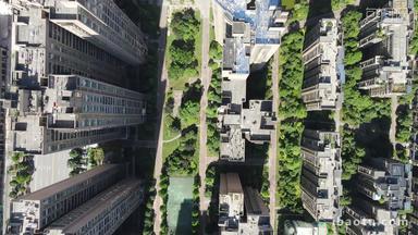 俯拍城市住宅小区绿化