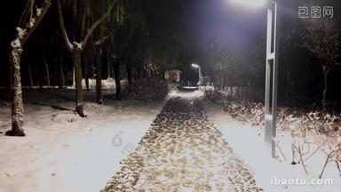 深夜公园路灯下雪景