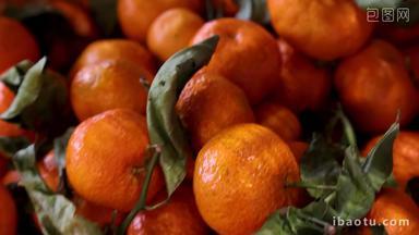 超市货柜里的水果沃柑橘子