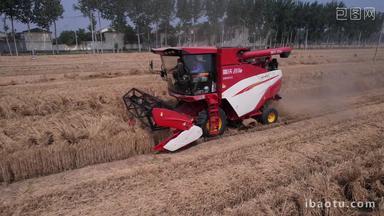现在农业机械化丰收小麦