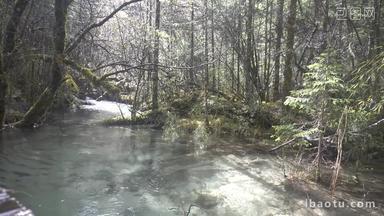 冰川水溪流雪山原始森林自然风光