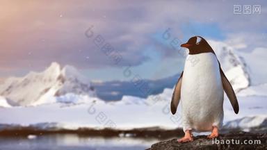 南极洲孤独企鹅站在岩石上