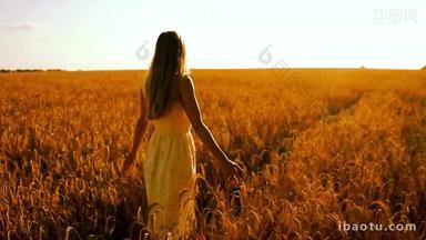 女孩走在金黄色的麦田中