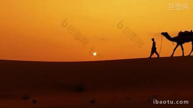 日落<strong>黄昏沙漠</strong>中的骆驼1
