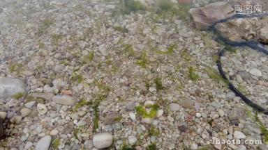 海边沙滩鹅卵石实拍大海海浪