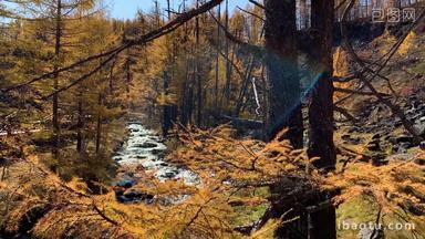 内蒙古的秋天小溪