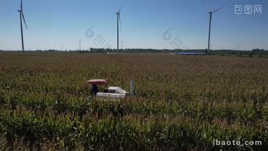 航拍收割机在农田里收割玉米大豆