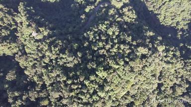 俯拍绿色植物森林天然氧吧鼎湖山航拍
