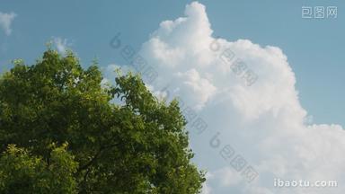 超大云彩<strong>云朵</strong>蓝天白云绿树