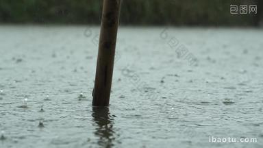 农村阴天下雨水滴池塘竹竿