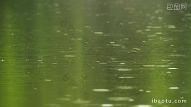 下雨公园碧绿的池塘水滴涟漪