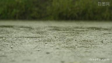 下雨水滴水珠涟漪池塘沼泽湿地