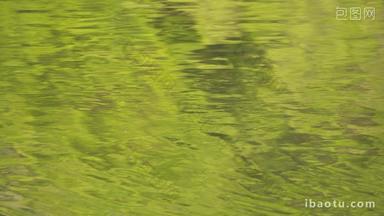 春天绿油油碧绿的小溪池塘