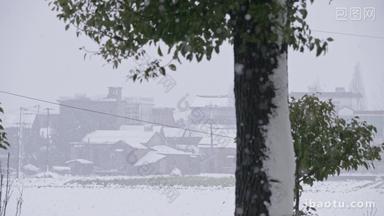 农村冬天下大雪远处房屋积雪