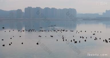 杭州余杭南湖生态环境风光