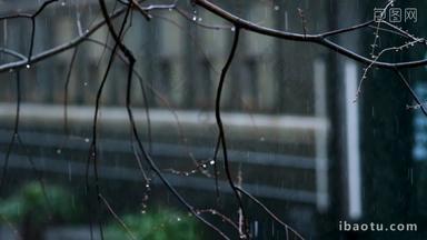 <strong>春天雨季</strong>雨滴绿皮火车升格空镜