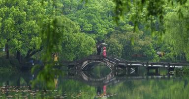 春天杭州西湖园林桥洞雨景
