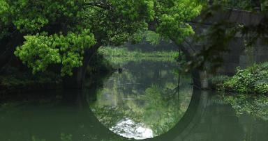 春天<strong>杭州西湖</strong>园林桥洞雨景