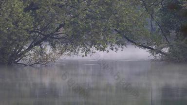冬季杭州西湖湖面晨雾缭绕
