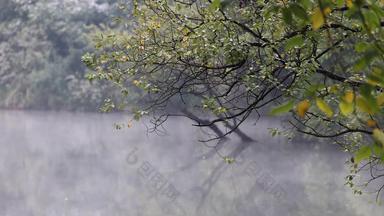冬季杭州西湖湖面晨雾缭绕