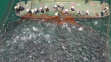杭州千岛湖巨网捕鱼航拍