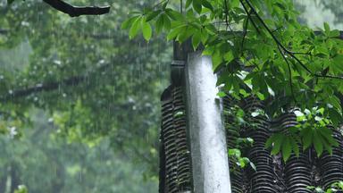 江南<strong>雨季</strong>中式园林屋檐雨滴空镜