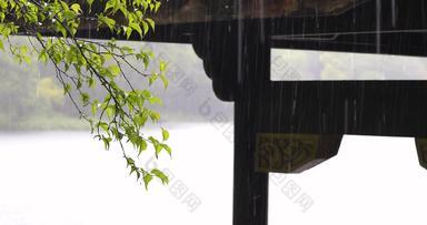 江南<strong>园林</strong>庭院雨季下雨雨滴空镜