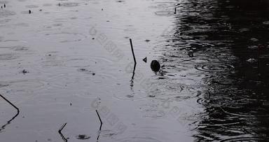 杭州西湖冬季雨天雨滴<strong>升格</strong>空镜
