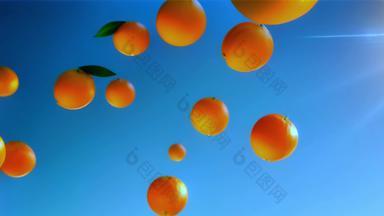 橙子农业脐橙水果果园柑橘果汁