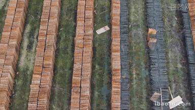 多层实木木板晒制制作