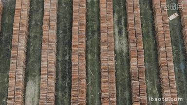 多层实木木板晒制制作