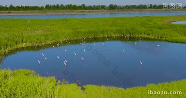 杭州钱塘大湾区湿地公园
