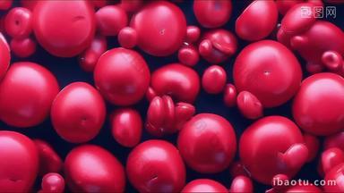 血红蛋白红细胞红蛋白血液
