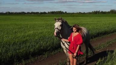 年轻漂亮的女人带头走与一匹白马在绿色的田野