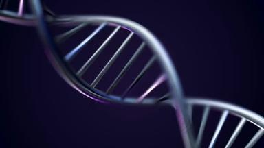 未来旋转白色 Dna 链与遗传代码和抽象几何。旋转 Dna 链的无缝循环动画。动画旋转的模型 Dna 螺旋从玻璃和晶体, 或