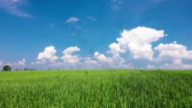 绿地和多云的天空