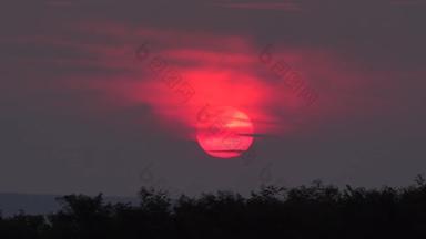 红色圆盘太阳下山后日落的云彩和树, timelapse